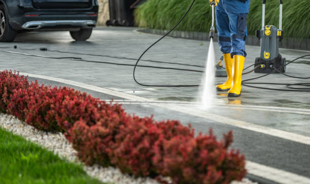 Best Animal Enclosure Cleaning  in Douglass Hills, KY